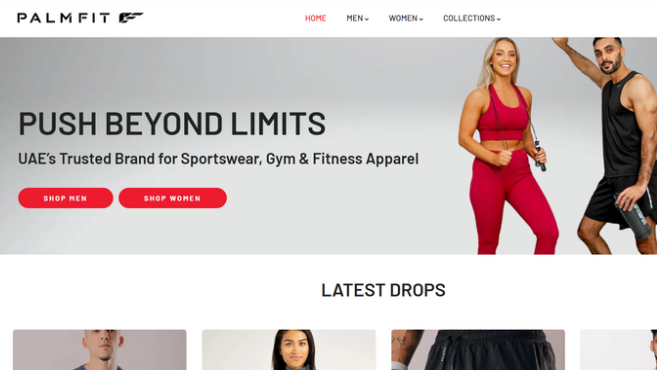 PalmFit mobile app design - fitness and wellness application development